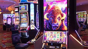 559bet cc 559bet cc