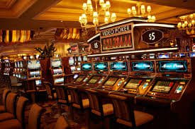 559bet cc 559bet cc